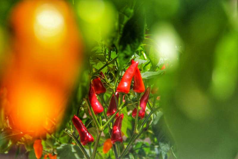 微信图片_202008111006213